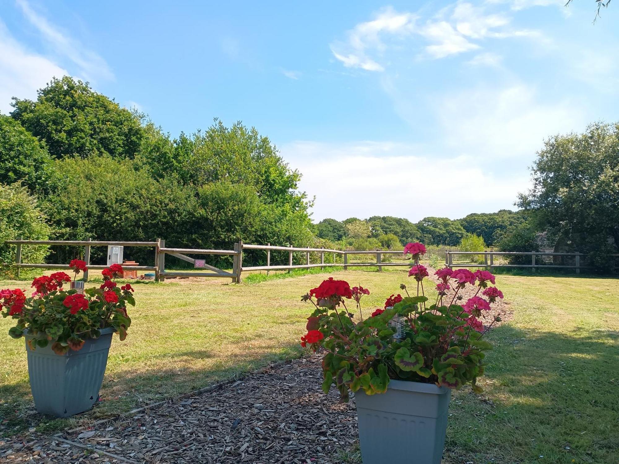 Cosy Cabins At Westfield Farm, Isle Of Wight Yarmouth  Dış mekan fotoğraf